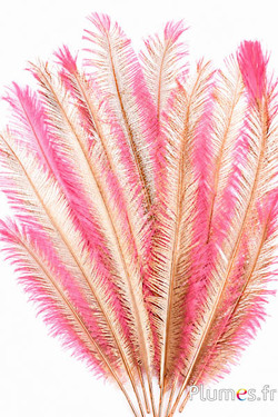 Struisvogel - Metallic Edge - 27-33 cm - roze-goud